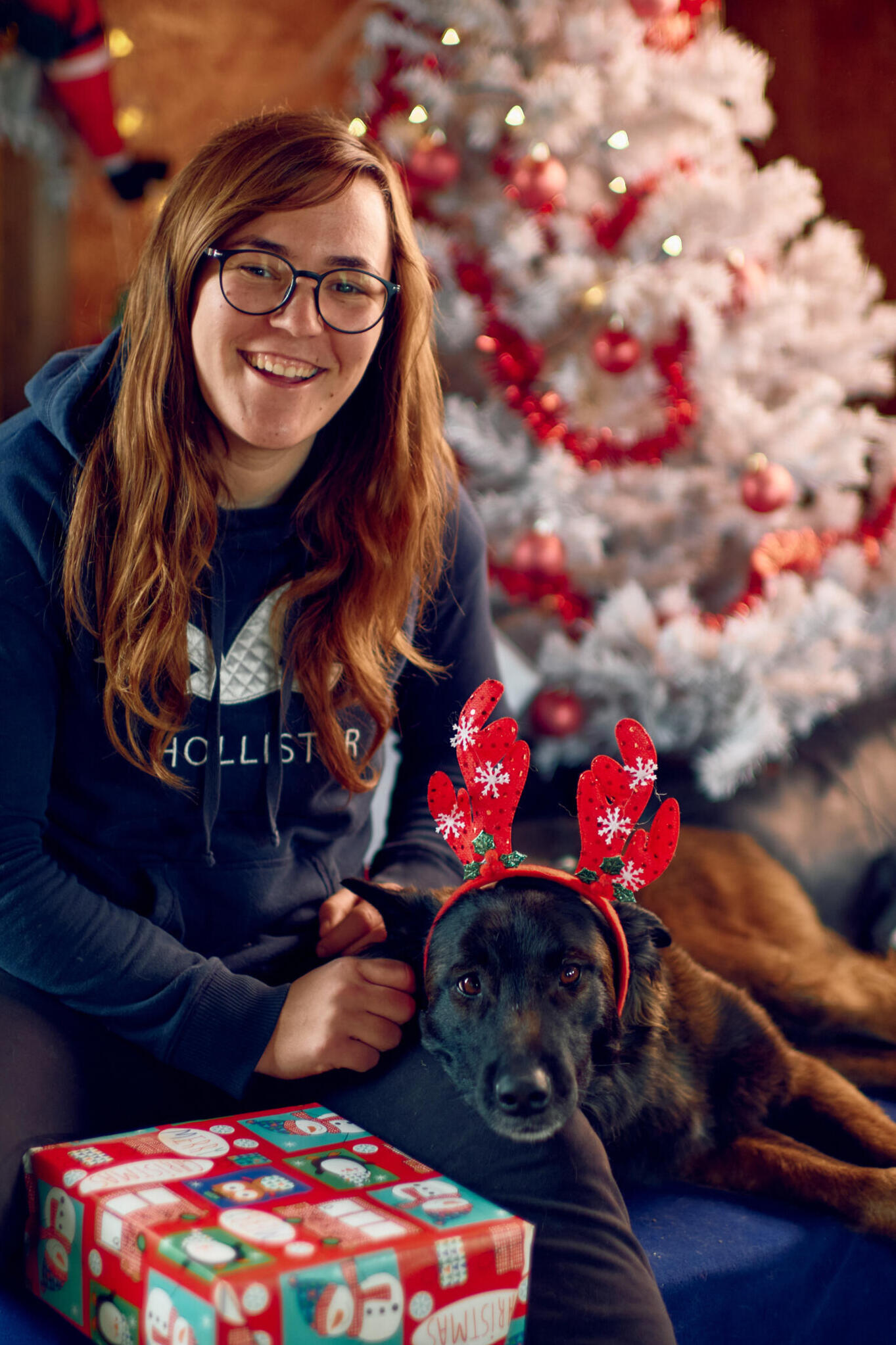 Škola za pse Zagreb i Velika Gorica